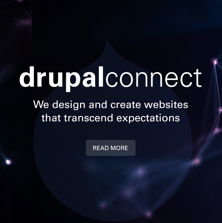 Drupal Connect's Services