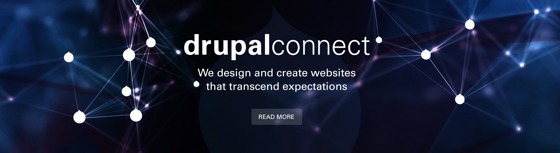 Drupal Connect's Services