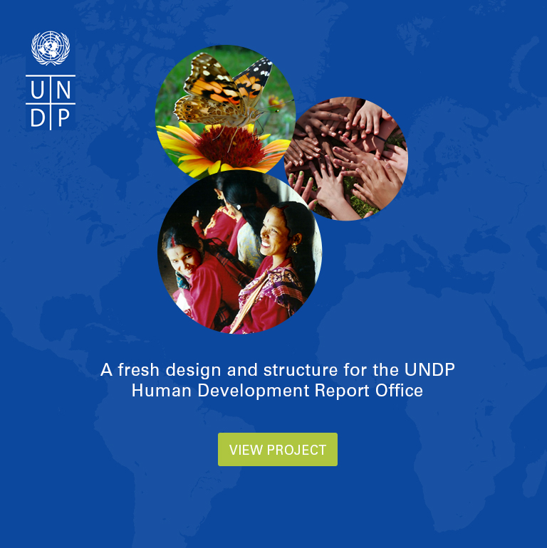 View the UNDP Project